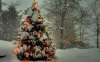 Новогодняя елка для детей, находящихся в трудной жизненной ситуации состоялась 20 декабря  в Новооскольском городском округе